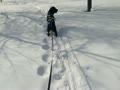雪を走る純。